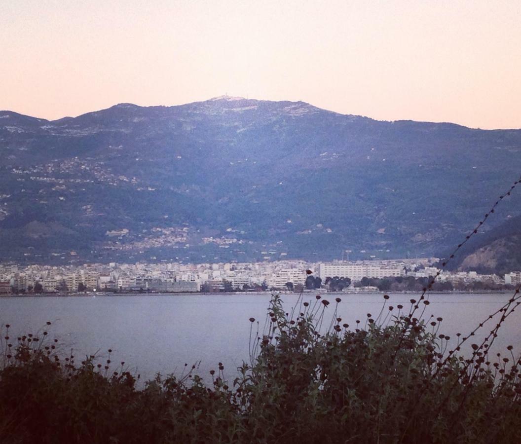 Apostolia Lux Apartments Volos Bagian luar foto